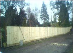 A new run of close-board fencing along a lane