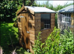 A timber dog hut