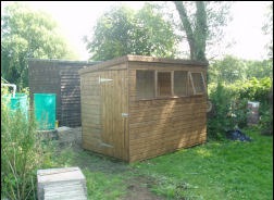 An apex timber shed on a lawn